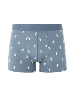 Celio Boxer Imprimé - bleu clair^Homme Boxers