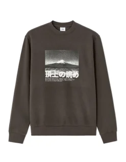 Celio Sweat regular col rond imprimé Asie - anthracite^Homme Sweats